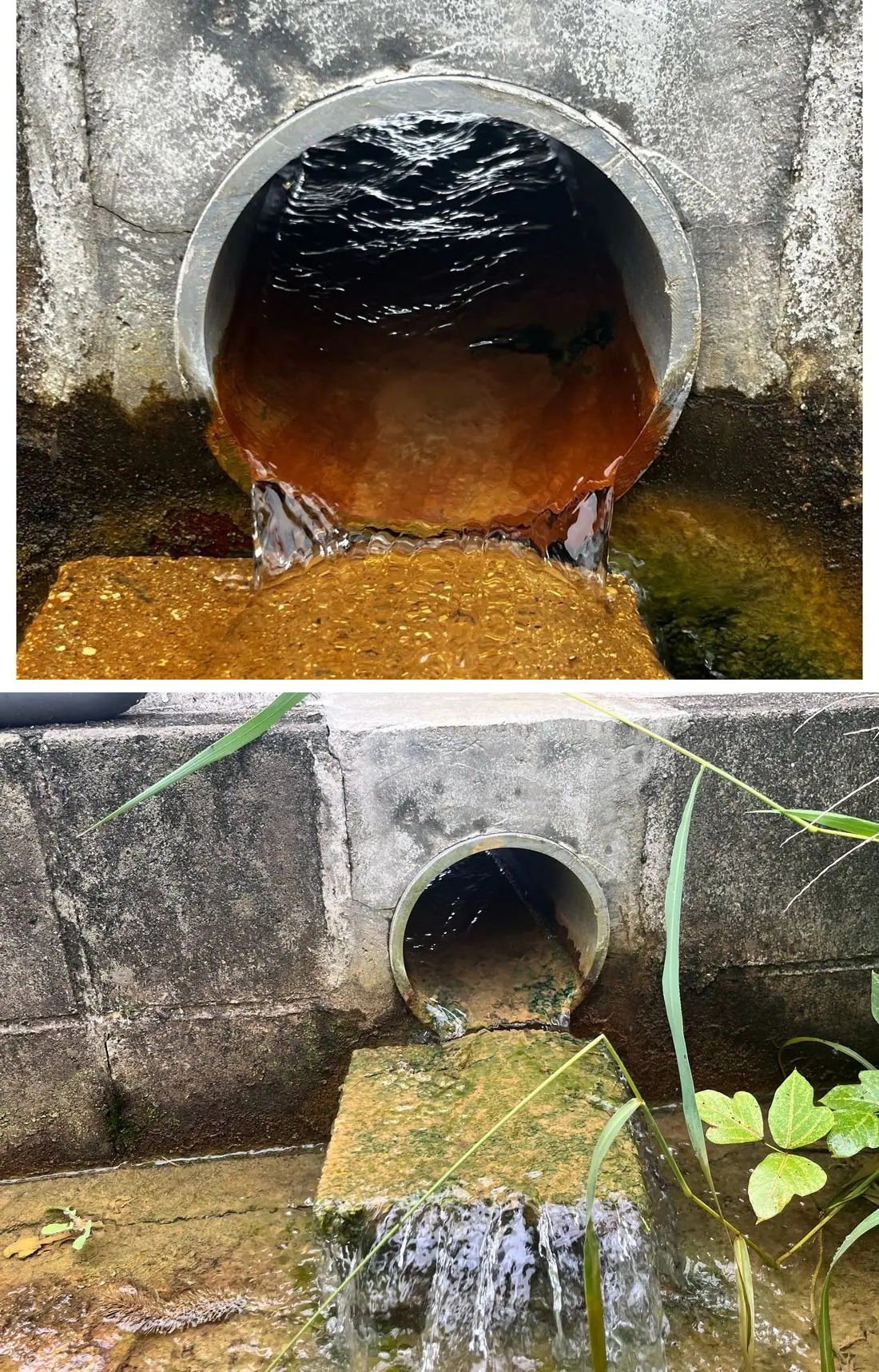 排水口まわりの赤錆の変化(上:設置前/下:約6ヶ月後)