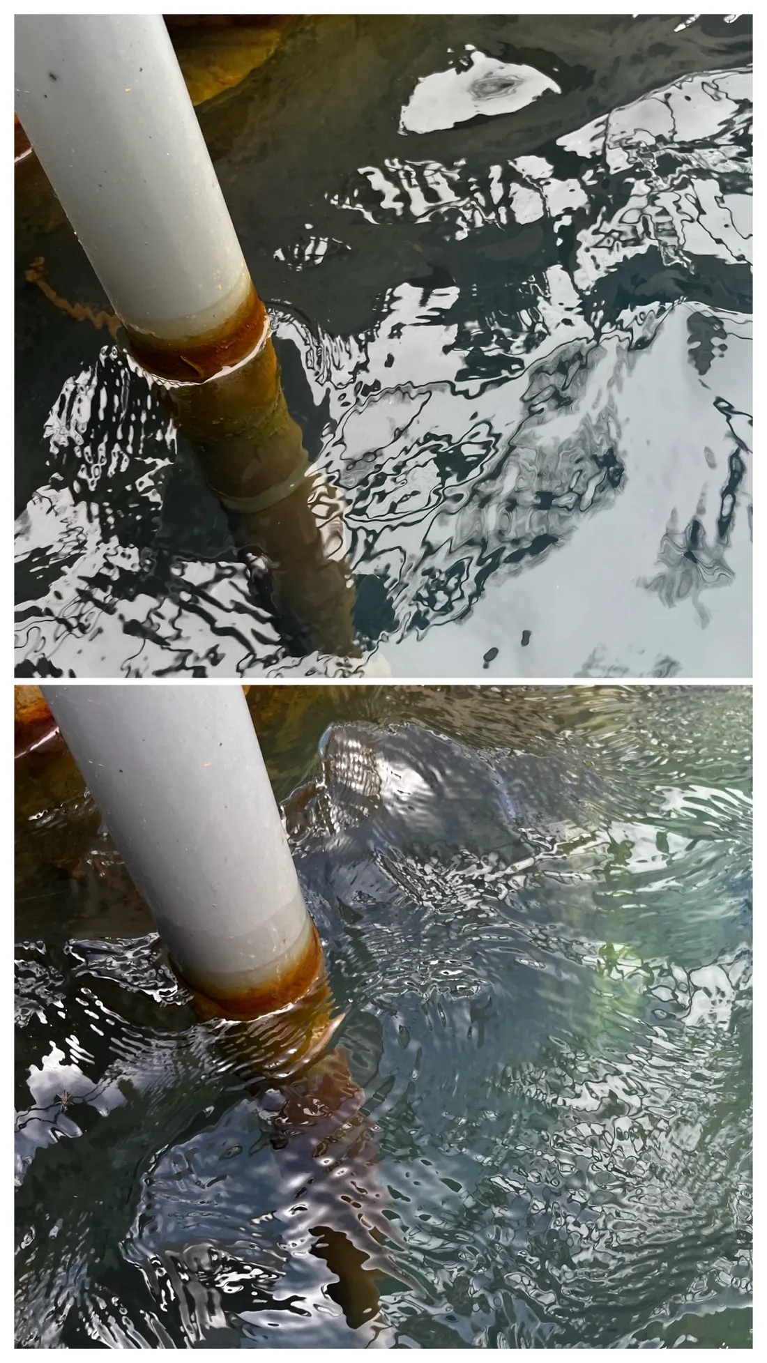 貯水槽の水の濁りと配管の錆の変化(上:設置前/下:設置後)