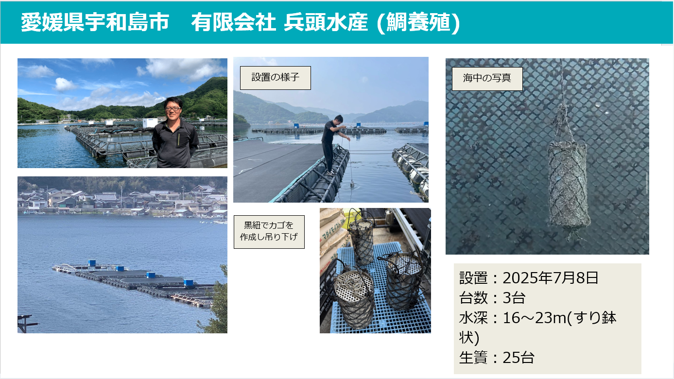 海中におけるBOリアクターの循環イメージ