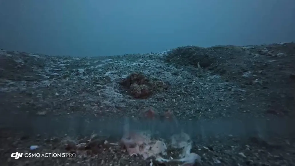 海底ヘドロ解消