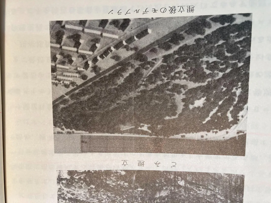 107話「ドイツのごみ処理事情②」の写真 2