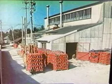 128話「プラスチック廃棄物製測量杭」の写真 7
