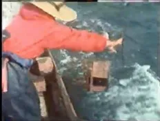 129話「プラスチック廃棄物製タコ壺」の写真 6