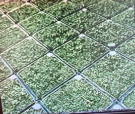 130話「プラスチック廃棄物製暗渠パイプ」の写真 20