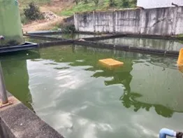 136話「溜池の水質改善実験レポート①」の写真 1