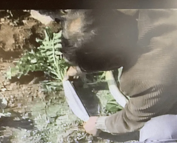 149話「「土と水の自然学」の取材③～農業編～」の写真 2