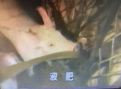 150話「「土と水の自然学」の取材④～農業編～」の写真 3