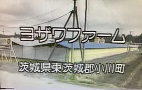 152話「「土と水の自然学」の取材⑥～農業編～」の写真 1