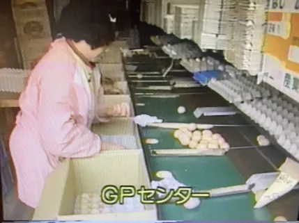 152話「「土と水の自然学」の取材⑥～農業編～」の写真 5