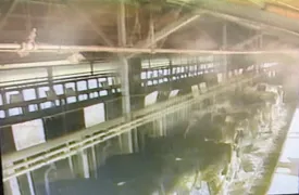 153話「「土と水の自然学」の取材⑦～農業編～」の写真 2