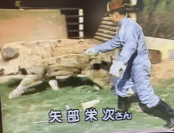 154話「「土と水の自然学」の取材⑧～農業編～」の写真 5