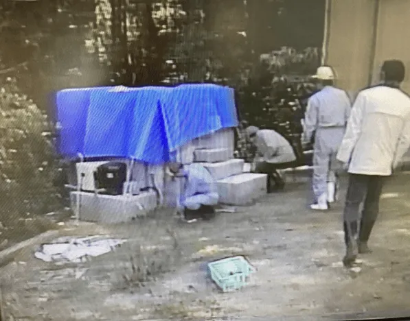 154話「「土と水の自然学」の取材⑧～農業編～」の写真 7