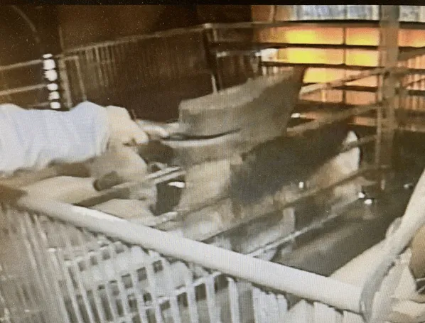155話「「土と水の自然学」の取材⑨～農業編～」の写真 6