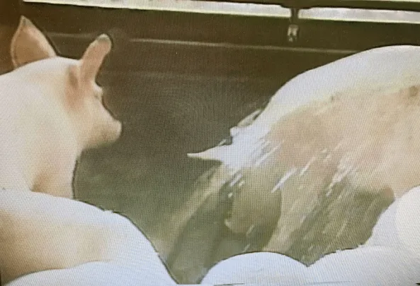 155話「「土と水の自然学」の取材⑨～農業編～」の写真 8