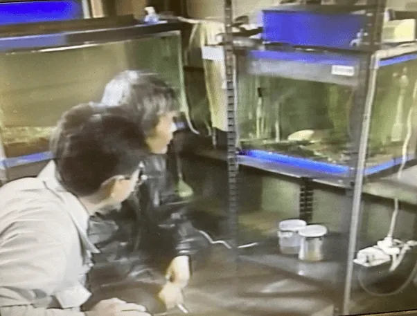156話「「土と水の自然学」の取材⑩～処理編～」の写真 5