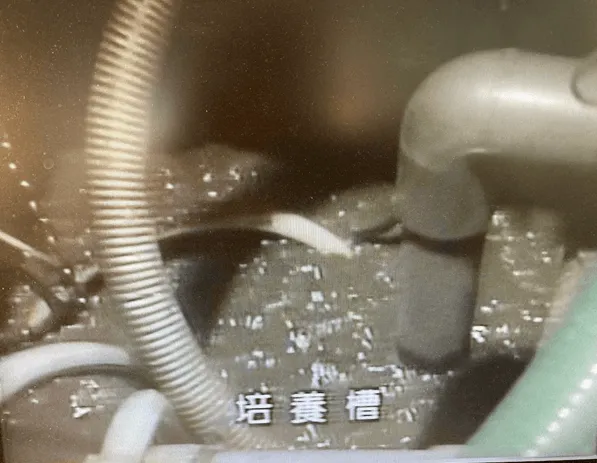 156話「「土と水の自然学」の取材⑩～処理編～」の写真 6
