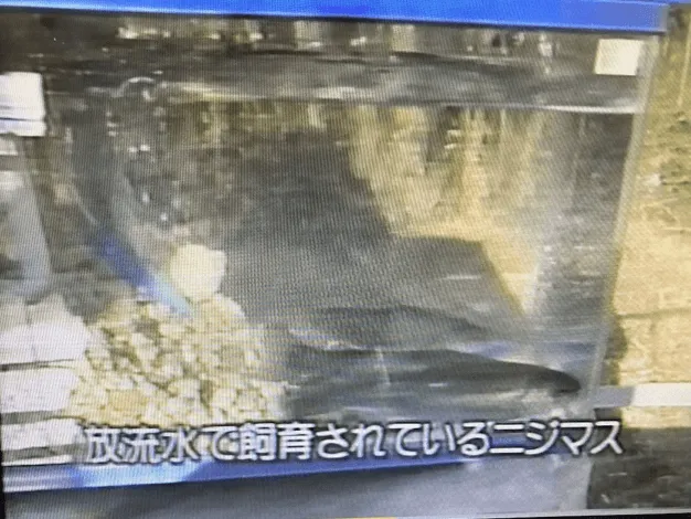 159話「「土と水の自然学」の取材⑬～処理編～」の写真 6