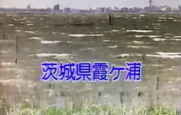 161話「「土と水の自然学」の取材⑭～処理編～」の写真 3