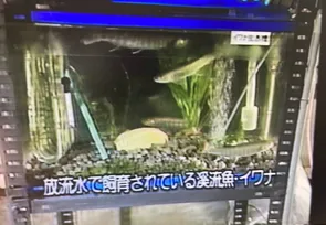 164話「「土と水の自然学」の取材⑰～理論編～」の写真 5