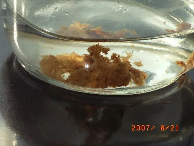 168話「休載のお詫びと、暮らしの中の腐植」の写真 3